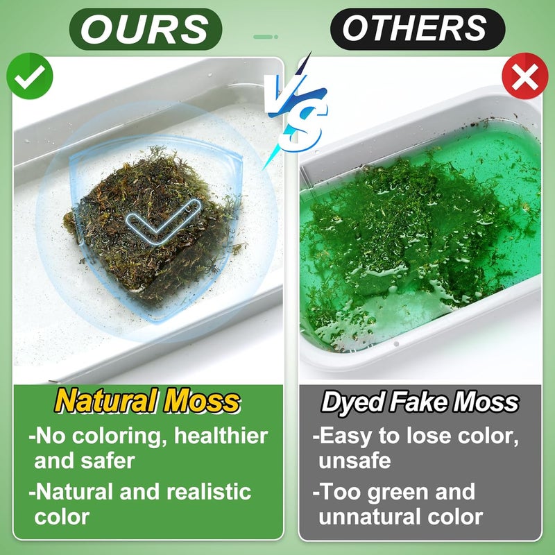 Alphatool 70oz Jumbo Pack Natural Green Moss for Crafts - Bulk Moss for Plants Indoor, Artificial Fairy Gardens, Mosswall, Filling Fake Plants, Floral Design, Home Decoration, Professional DIY Use - Image 2